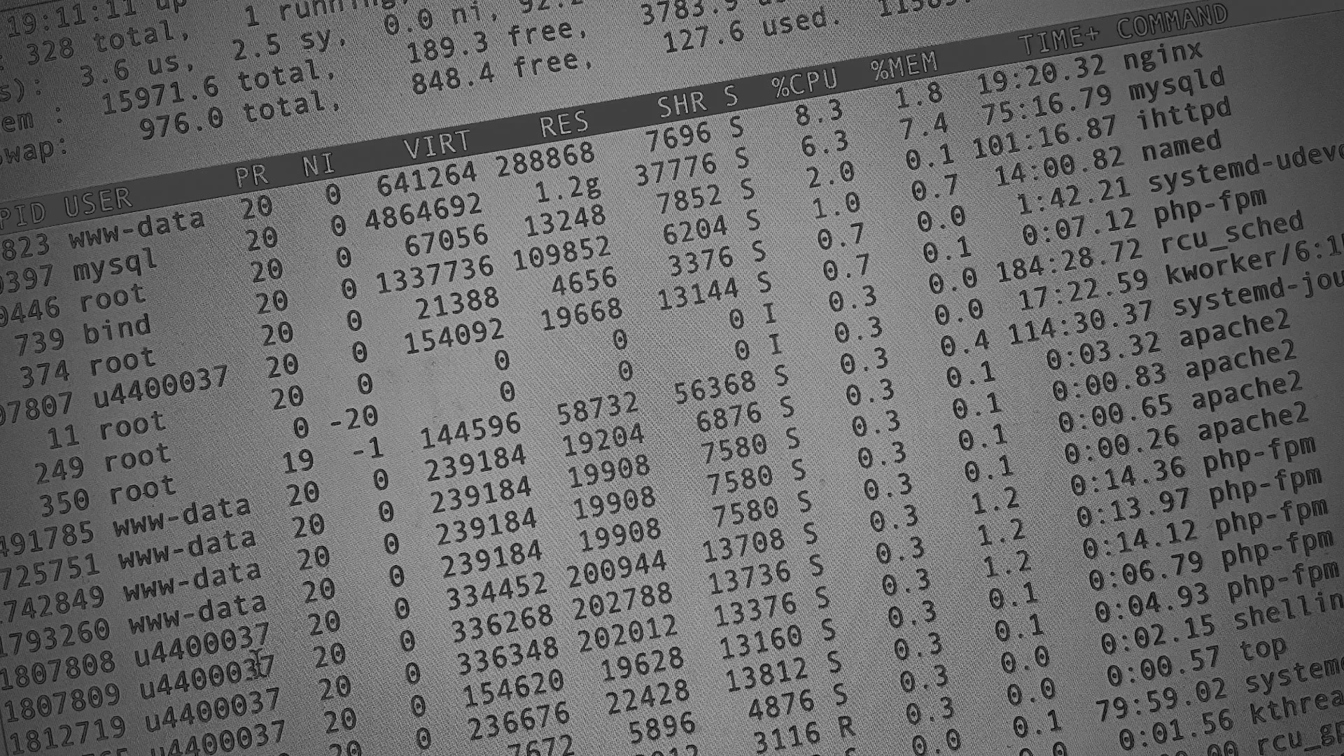 Настройка сервера в Козьмодемьянске