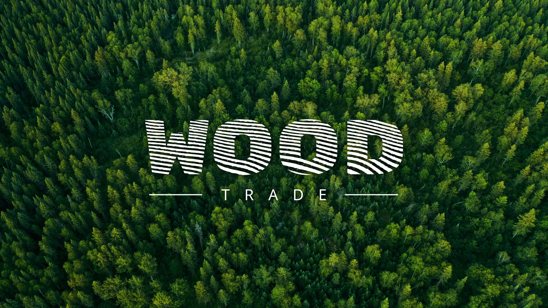 Разработка интернет-магазина компании «Wood Trade» в Козьмодемьянске